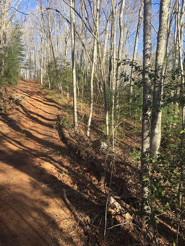 31 Springwood Lake Rd, Robbinsville, NC 28771 Zillow