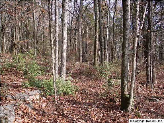 2nd image of 414 Ryland Pike
