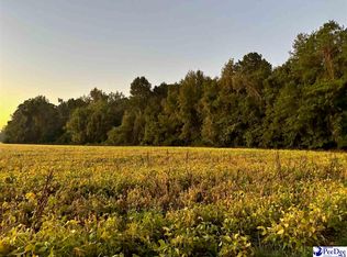 2016 Timmons Rd, Effingham, SC 29541