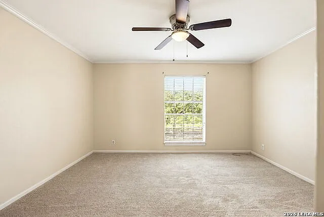 8401 N New Braunfels Ave #245 — Photo 11