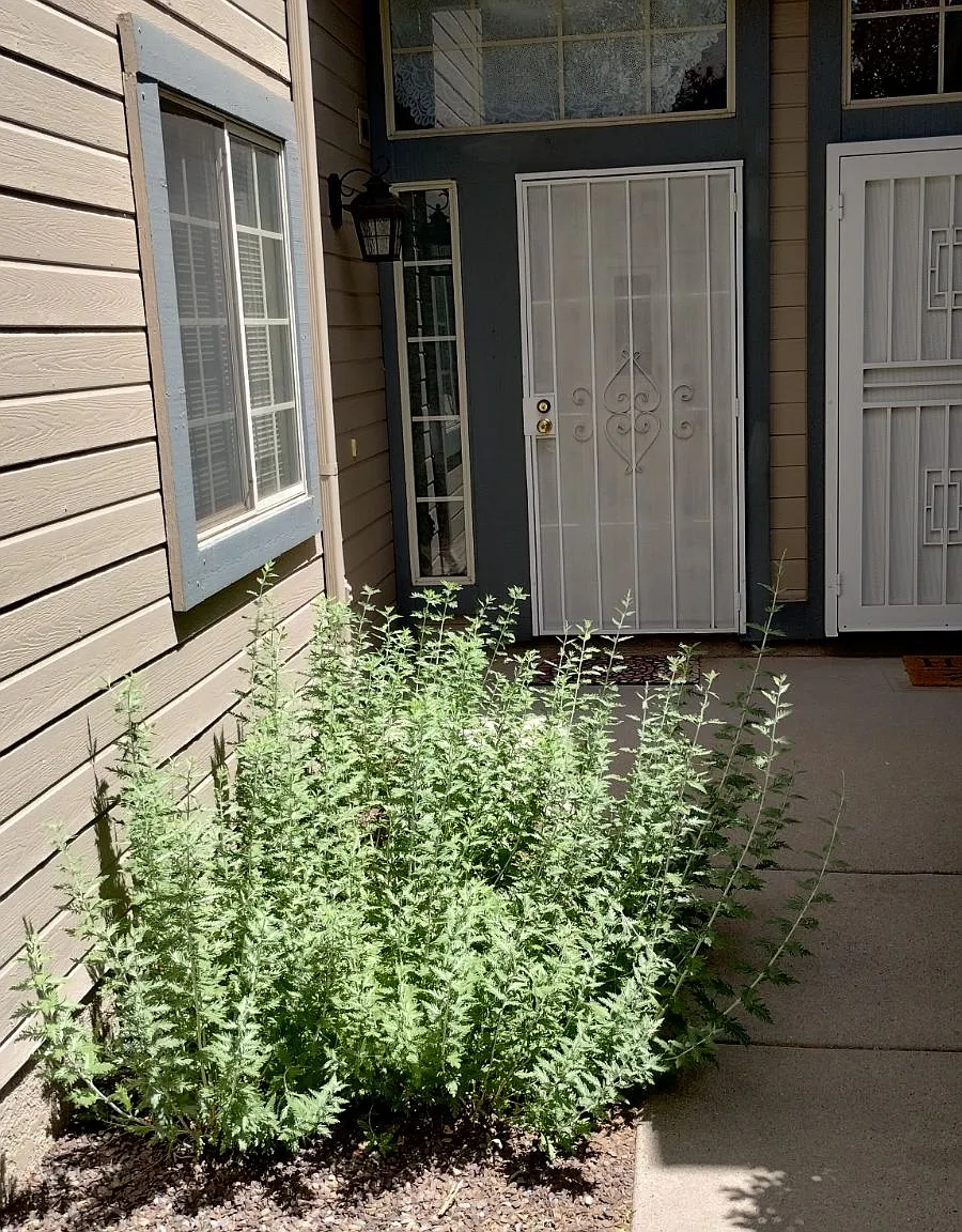 4460 E Wild Elk Trl — Photo 2