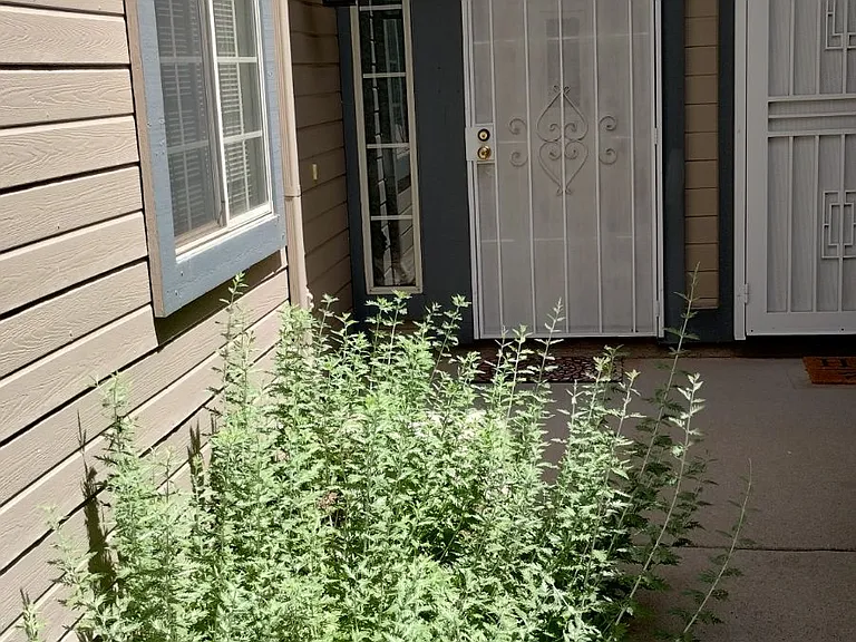 4460 E Wild Elk Trl — Photo 1