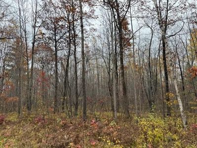 Lot 11 Silver Birch Drive, Cable, WI, 54821