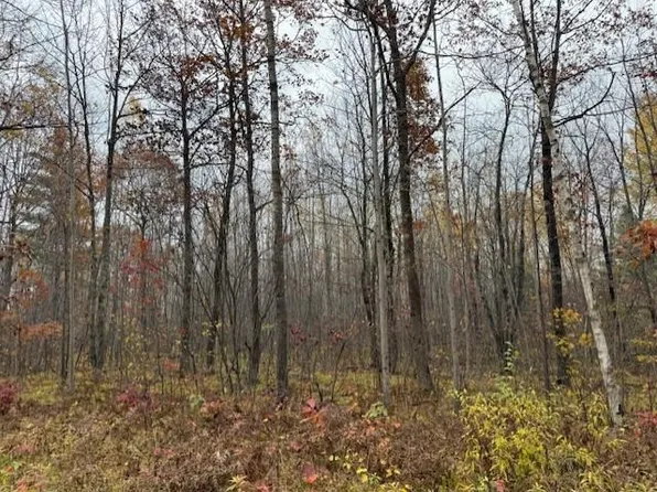 Lot 11 Silver Birch Drive, Cable, WI 54821