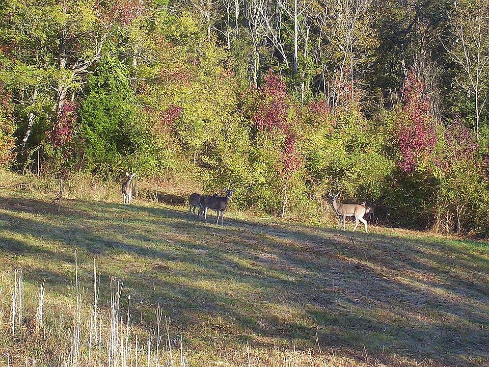 2nd image of 7512 River Road Pike