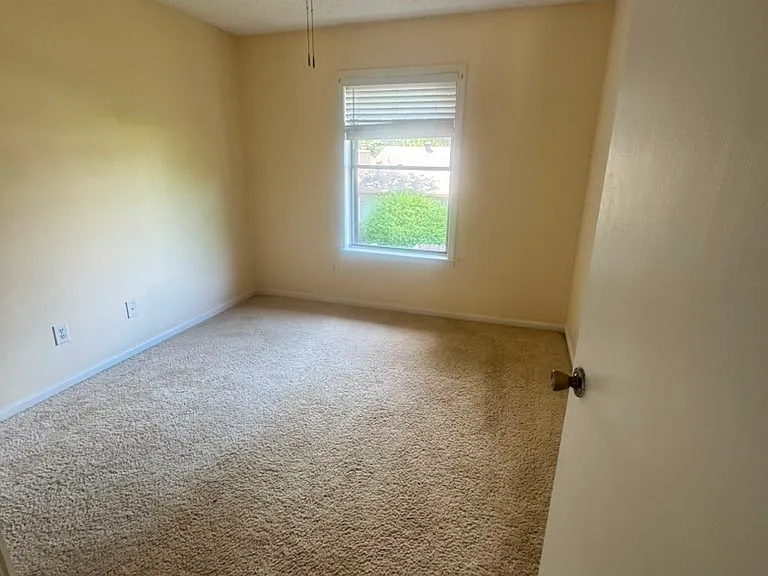 2979 Kin Cv — Photo 8