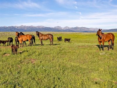 Elk Creek Rd, Wilsall, MT, 59086