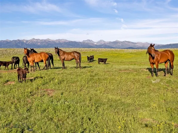 Elk Creek Rd, Wilsall, MT 59086