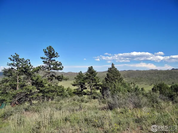 1019 Montcalm Dr, Livermore, CO 80536