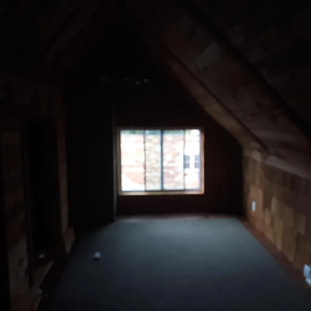 3 bed, 950 sqft, $810 — Photo 1