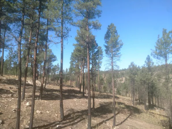 931 Britton Ln, Happy Jack, AZ 86024