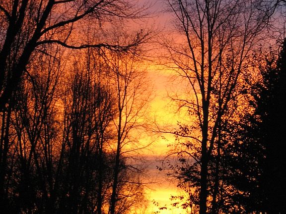 Down Driveway in Early Morn