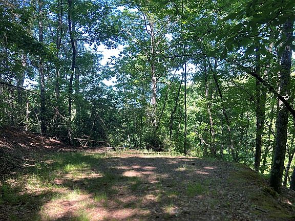 2nd image of LOT 38 River Ridge Rd