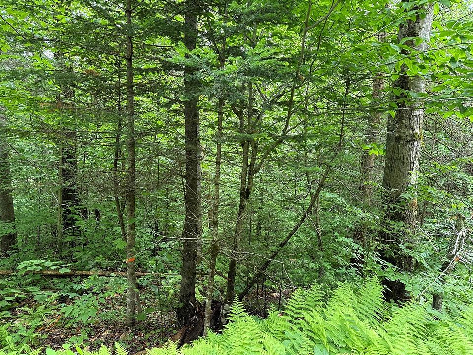 2nd image of 219 Woodbury Mountain Road