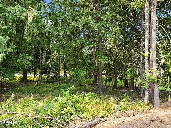 5th image of S21 Timber Grove Ln