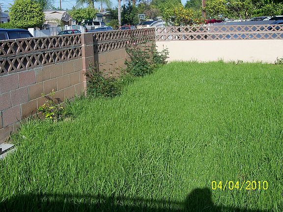 Front Yard