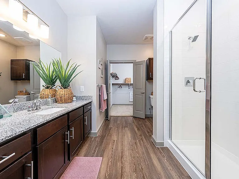 Bathroom with Spacious Closet
