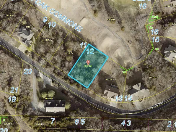 000 Commons Court, Branson West, MO 65737