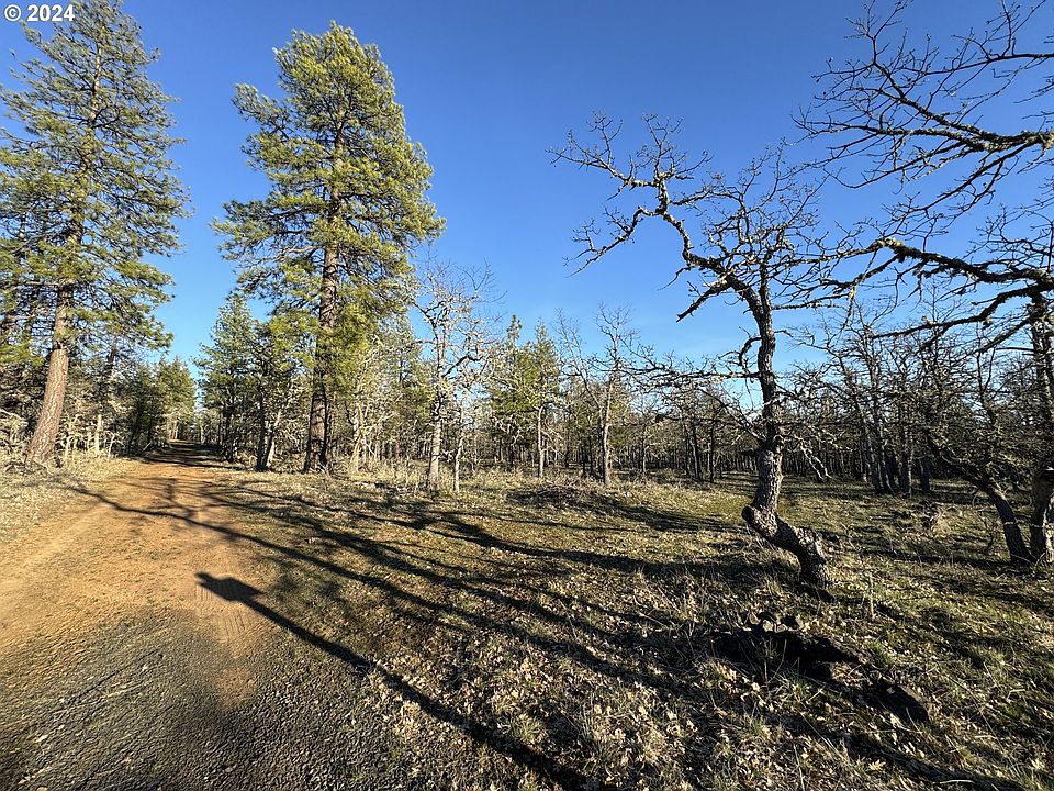 1st image of Piney Woods #3