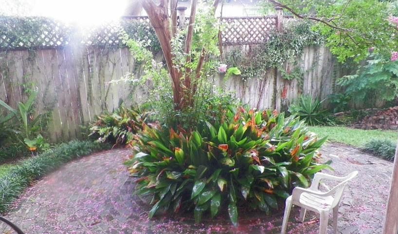 backyard courtyard