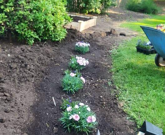 garden area