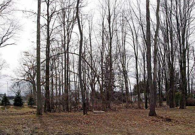 2nd image of 3652 Deer Creek Dr