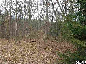 2nd image of 2240 Bistline Bridge Rd
