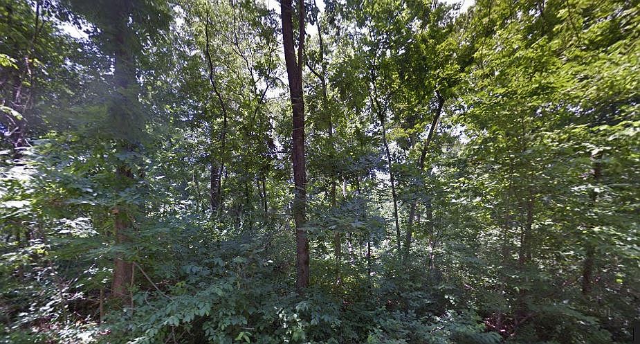1st image of 16-36918 Birsay Cir