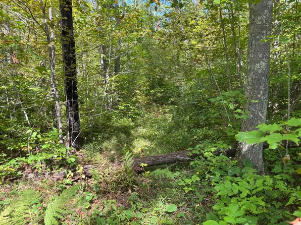 235th Pl, McGregor, MN 55760