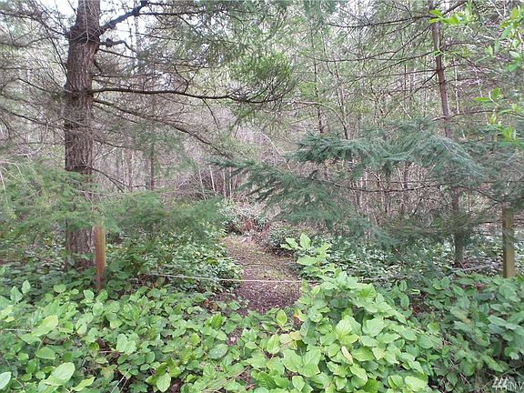 3rd image of 675 Woodland Dr
