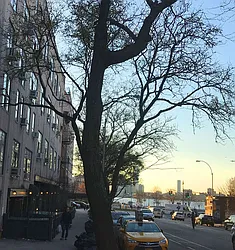 130 Barrow Street in West Village
