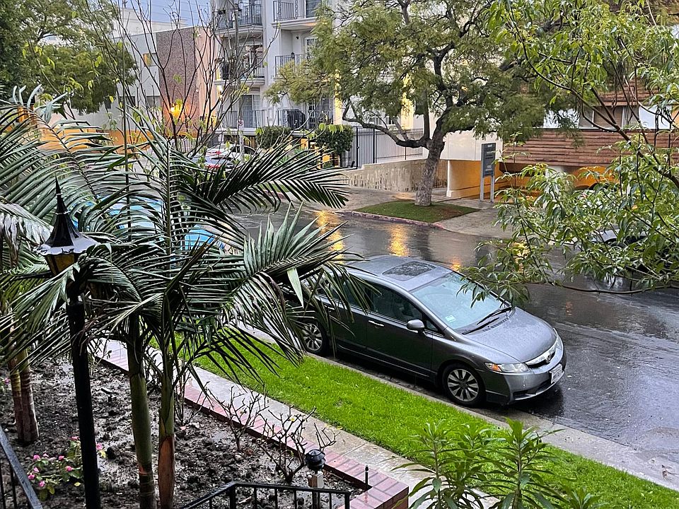 Quiet tree lined street view from your patio