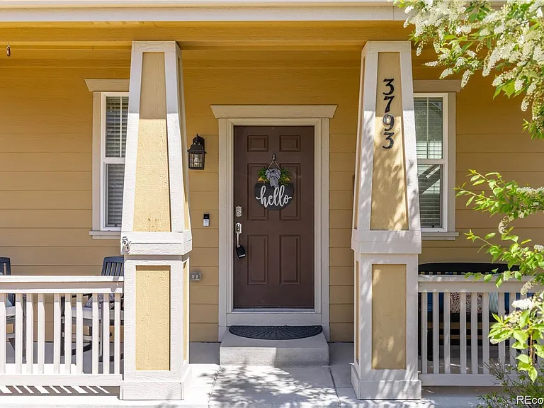 3793 Cadence Dr — Photo 3