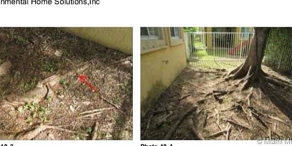 3rd image of 1163 Golden Cane Dr