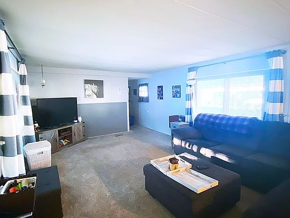 Livingroom from main door