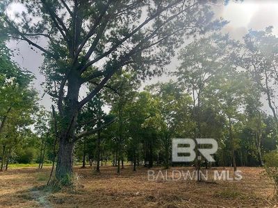 0 Newman Rd #13, Mobile, AL, 36695