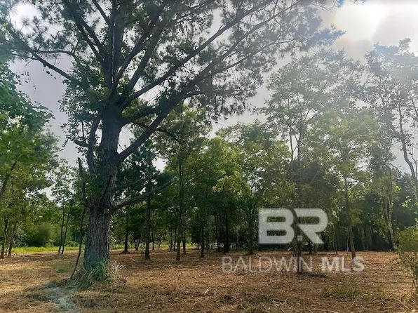 0 Newman Rd #13, Mobile, AL 36695