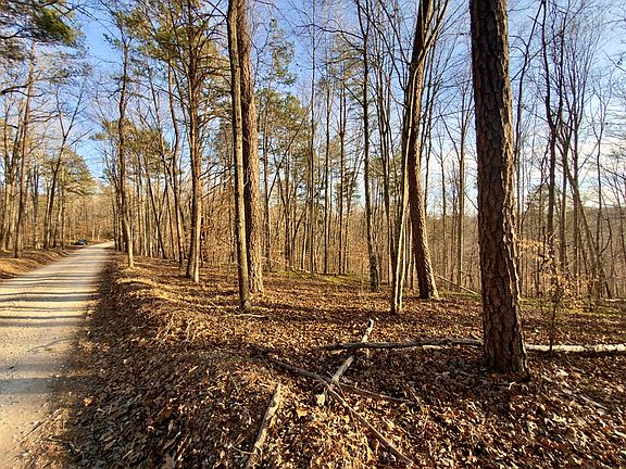 4th image of 0 Muddy Ridge Rd