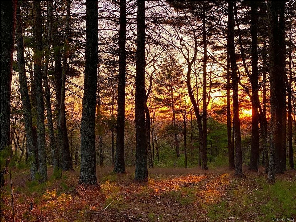 1474 State Route 42, Forestburgh, NY 12777 MLS H6276346 Zillow