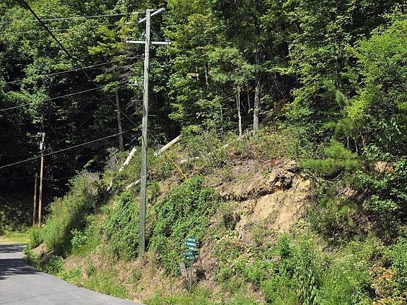 2nd image of 1 Black Walnut Flats Rd Lot 1