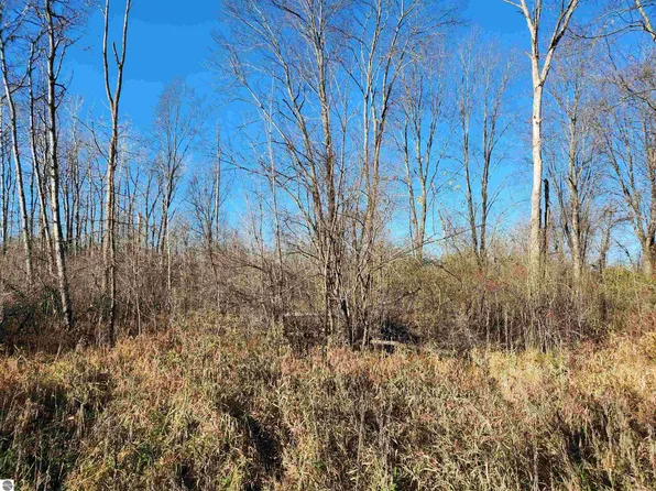 N/a Crawford Rd, Omer, MI 48749