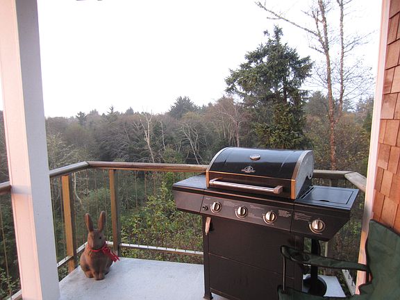 AMAZING FOREST AND SEA VIEW