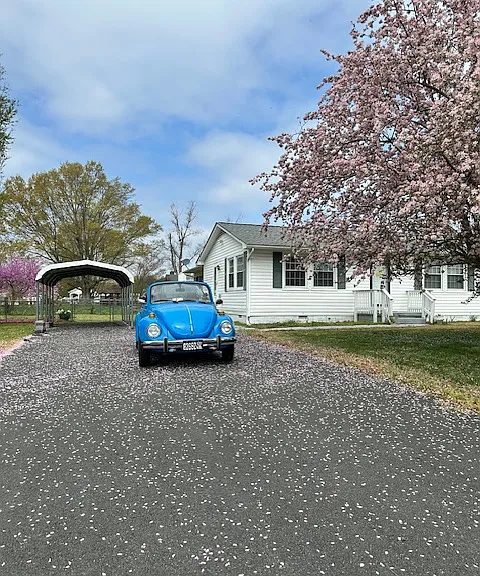 59 Mattox Bay Dr — Photo 1