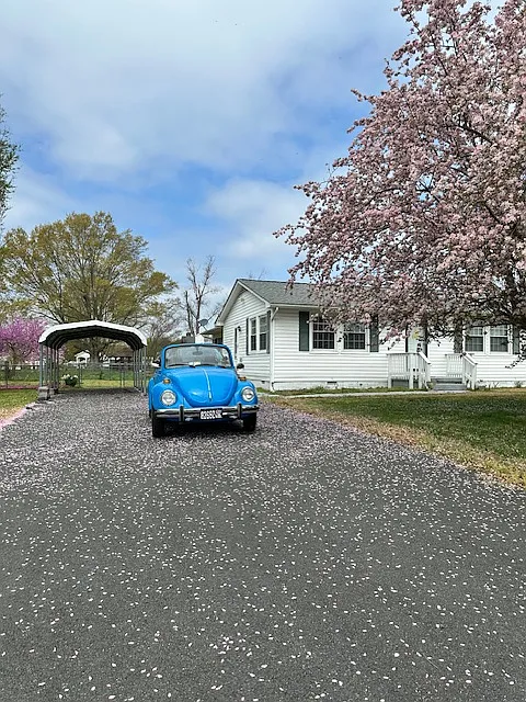 Building Photo - 59 Mattox Bay Dr