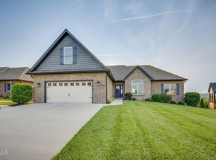 1132 Panoramic Vis, Gray, TN 37615