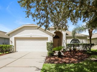 4217 Branchside Ln, Wesley Chapel, FL 33543