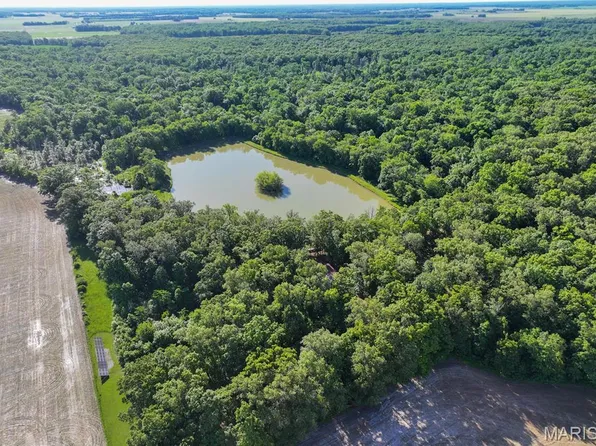 2040 Schlager Rd, Elkville, IL 62932