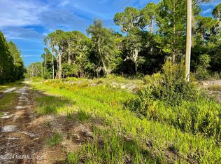 140 Jo Ann Rd, Georgetown, FL 32139