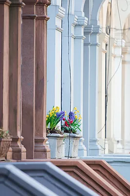 Rented by Compass | media 44