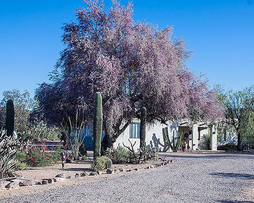 1st image of 2506 W Como Bosque Trl